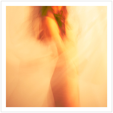 De Tierra y Piel 009 | Cattaneo Photo