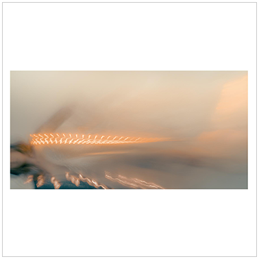 De Tierra y Piel 011 | Cattaneo Photo