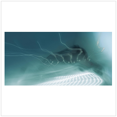 De Tierra y Piel 021 | Cattaneo Photo