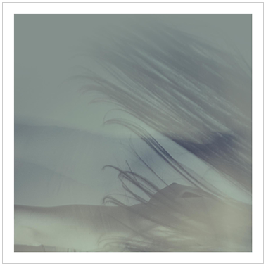 De Tierra y Piel 023 | Cattaneo Photo