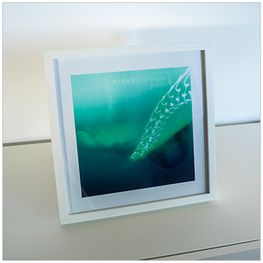 De Tierra y Piel 055 | Cattaneo Photo