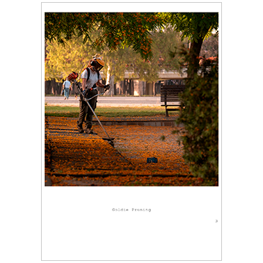 Goldie Pruning. Gardeners of the Turia River | Cattaneo Photo