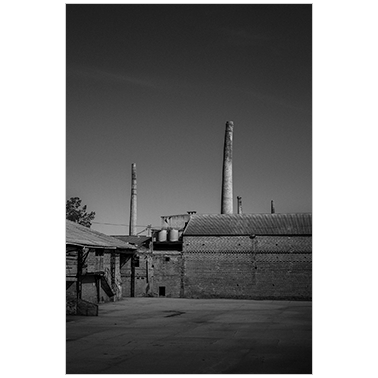 La de San Blas, Hermanos Tercero, La Salvadora y la de Barreres. Las Señoras de Oliva | Cattaneo Photo
