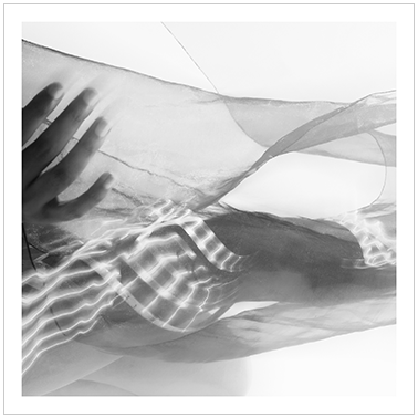 Los Principios Básicos 005 | Cattaneo Photo