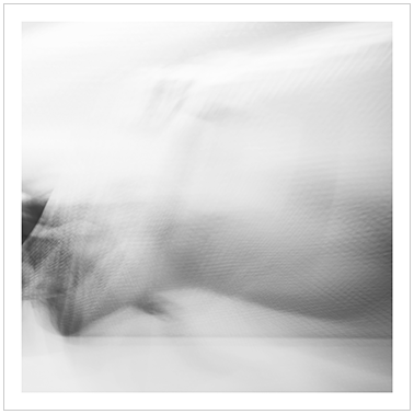 Los Principios Básicos 006 | Cattaneo Photo