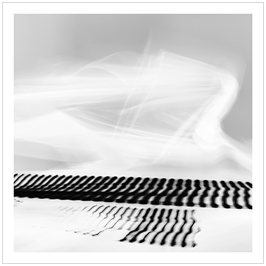 Los Principios Básicos 010 | Cattaneo Photo