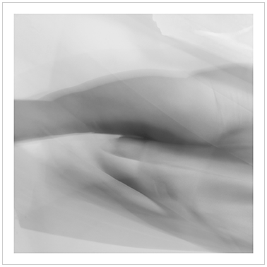 Los Principios Básicos 011 | Cattaneo Photo