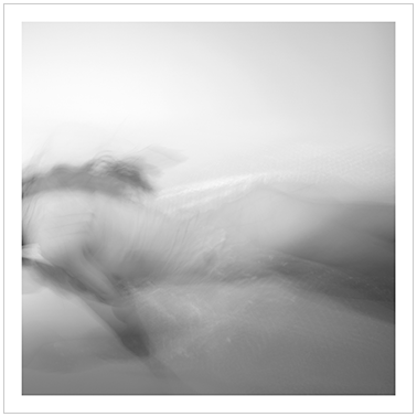 Los Principios Básicos 016 | Cattaneo Photo