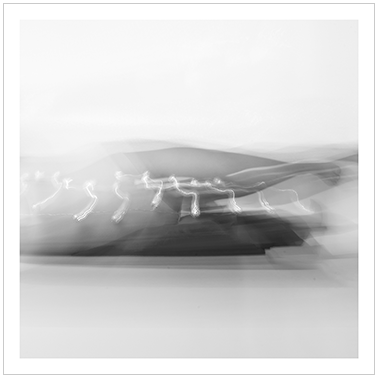 Los Principios Básicos 018 | Cattaneo Photo