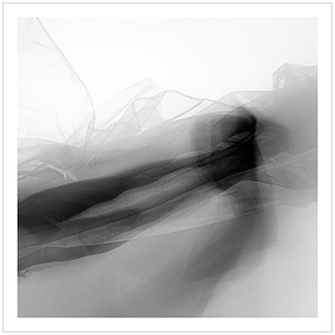 Los Principios Básicos 019 | Cattaneo Photo