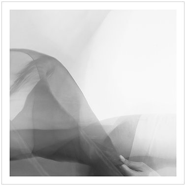 Los Principios Básicos 025 | Cattaneo Photo