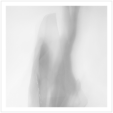 Los Principios Básicos 030 | Cattaneo Photo