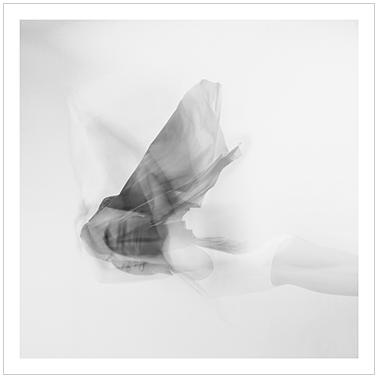 Los Principios Básicos 032 | Cattaneo Photo