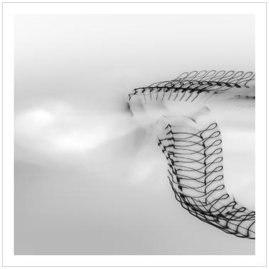 Los Principios Básicos 042 | Cattaneo Photo