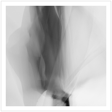 Los Principios Básicos 059 | Cattaneo Photo