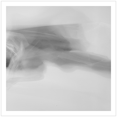 Los Principios Básicos 063 | Cattaneo Photo