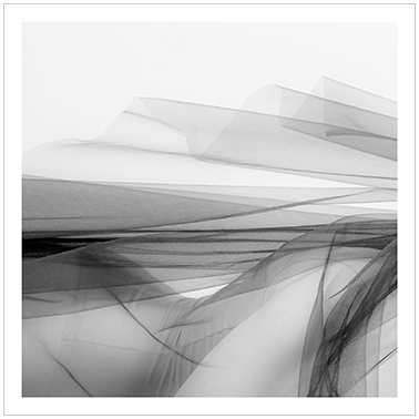 Los Principios Básicos 070 | Cattaneo Photo