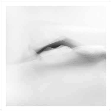 Los Principios Básicos 073 | Cattaneo Photo