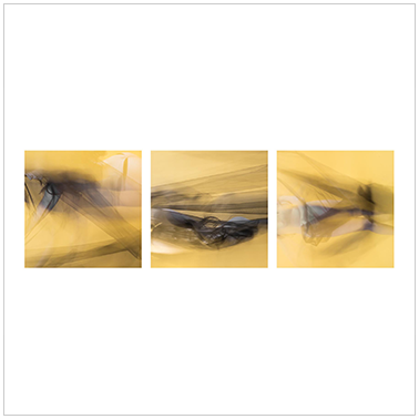 Organashi 002 | Cattaneo Photo