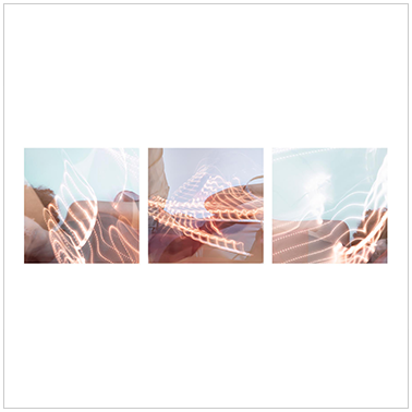 Organashi 004 | Cattaneo Photo